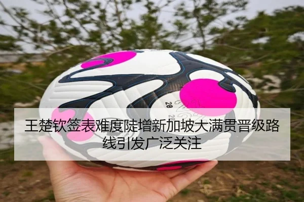 王楚钦签表难度陡增新加坡大满贯晋级路线引发广泛关注